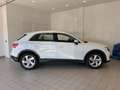 Audi Q3 Q3 35 TFSI S tronic Business Advanced Blanco - thumbnail 6
