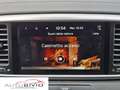 Kia Sportage 1.6 CRDI 136 CV 2WD Mild Hybrid Black Edition Wit - thumbnail 14