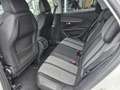 Peugeot 3008 1,5 BlueHDi 130 S&S EAT8 Allure Aut. Weiß - thumbnail 16