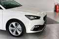 SEAT Leon ST 2.0TDI CR S&S FR XS DSG-7 150 Blanco - thumbnail 6