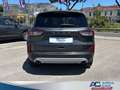 Ford Kuga Kuga III 1.5 ecoblue Titanium 2wd 120cv auto PROMO Grigio - thumbnail 5