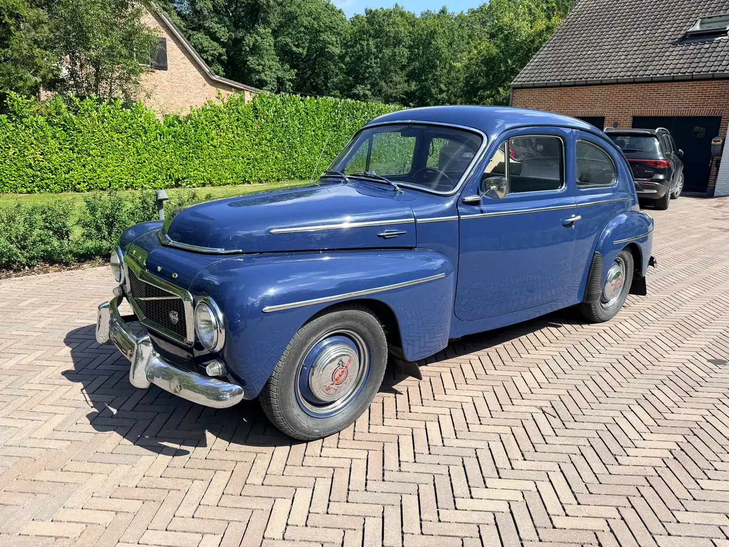 Volvo PV544 Blau - 2