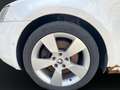 Skoda Octavia 1.8 DSG 16V TSI Elegance 4x4*ACC* Wit - thumbnail 9