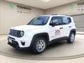 Jeep Renegade 1.5 turbo t4 mhev Altitude 2wd dct Bianco - thumbnail 7