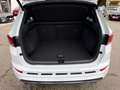 CUPRA Ateca 1.5 TSI DSG 150 Cupra Soundsystem 340 Watt Weiß - thumbnail 13