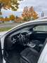 Audi A4 allroad quattro 3.0 TDI DPF S tronic - thumbnail 6