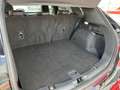 Ford Kuga 2.5 Duratec PHEV ST-Line X 4x2 Negro - thumbnail 11