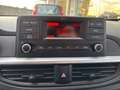 Kia Picanto Picanto 1.0 dpi Urban Gris - thumbnail 14