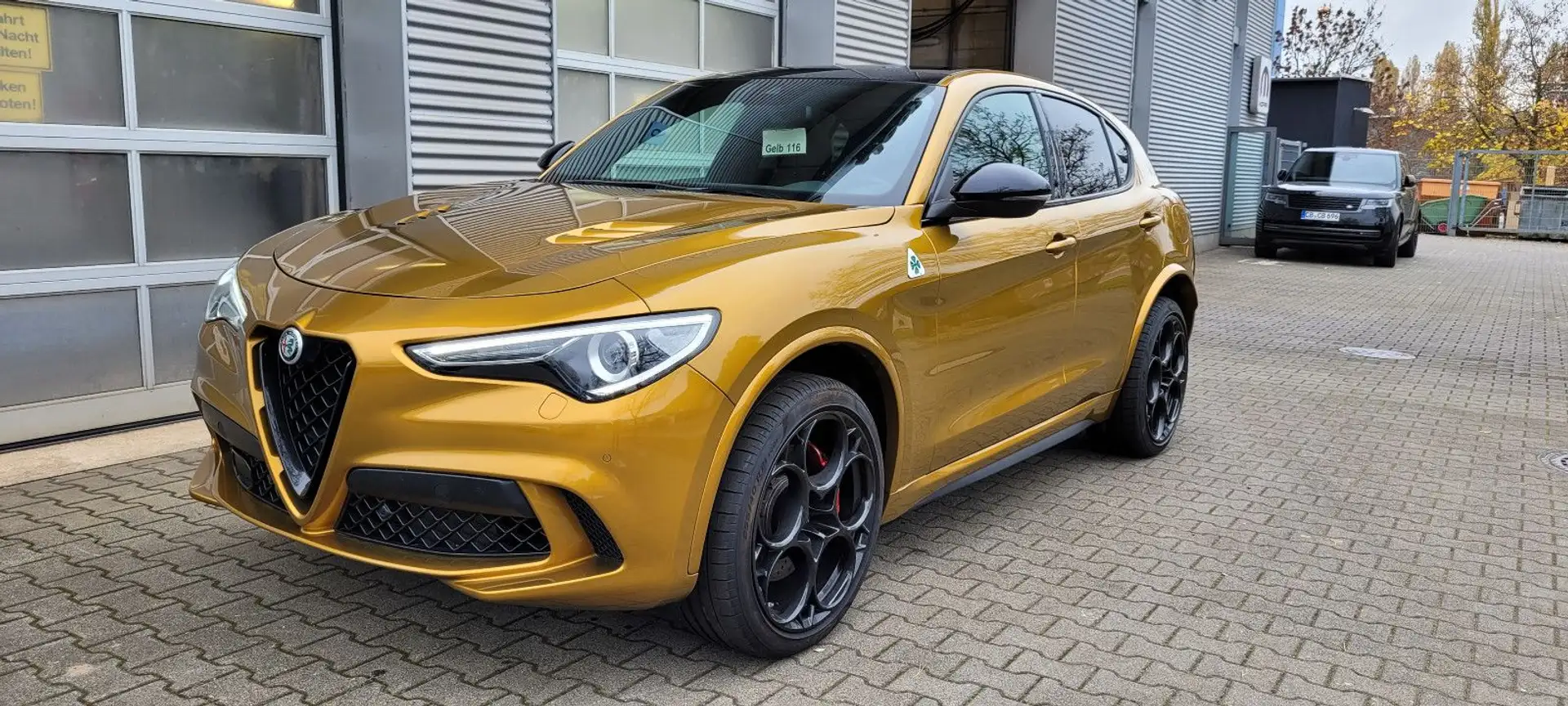 Alfa Romeo Stelvio Quadrifoglio V6 2.9 Bi-Turbo AT8 Q4 Oro - 2