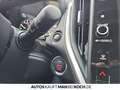 Subaru Impreza 2.0 Trend AT ACC DAB+ CAM SH Allwetter Orange - thumbnail 13