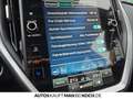 Subaru Impreza 2.0 Trend AT ACC DAB+ CAM SH Allwetter Orange - thumbnail 24