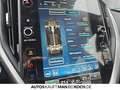 Subaru Impreza 2.0 Trend AT ACC DAB+ CAM SH Allwetter Orange - thumbnail 21