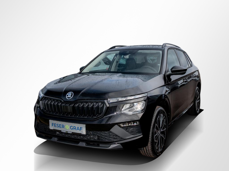 Skoda Kamiq Balance 1.0 TSI DSG PDC/RFK/SHZ/SMART LINK — photo 14