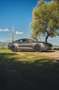 Ford Mustang Fastback 5.0 Ti-VCT GT Gris - thumbnail 7