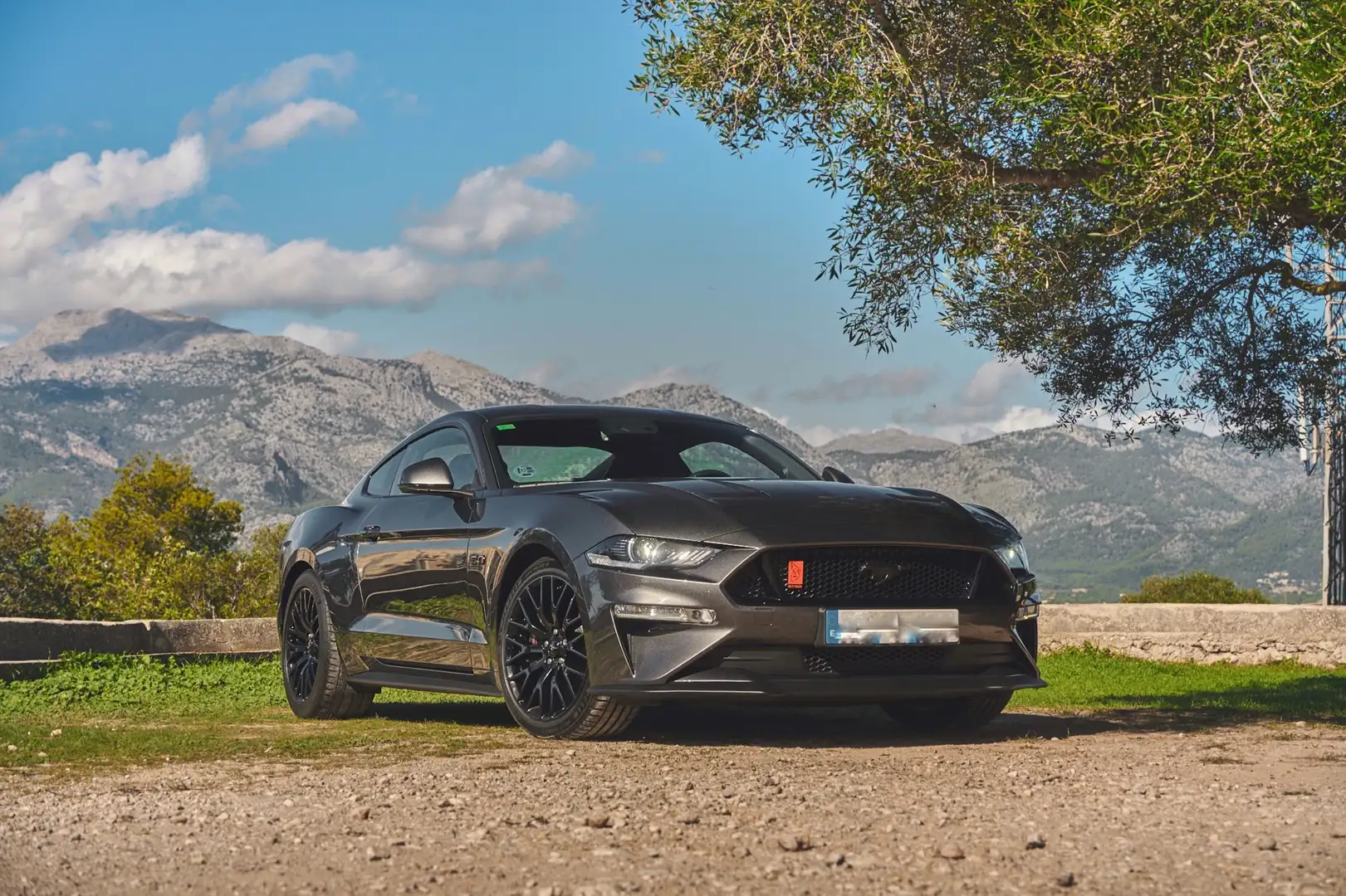 Ford Mustang Fastback 5.0 Ti-VCT GT Gris - 1