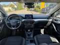 Ford Focus Turnier Cool & Connect 1.0 EcoBoost SHZ+LHZ+Kamera Argento - thumbnail 6