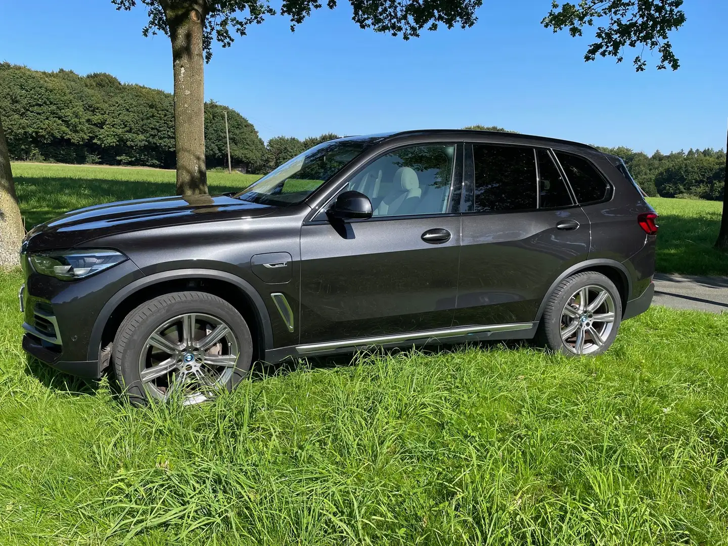 BMW X5 X5 xDrive45e xLine - 2