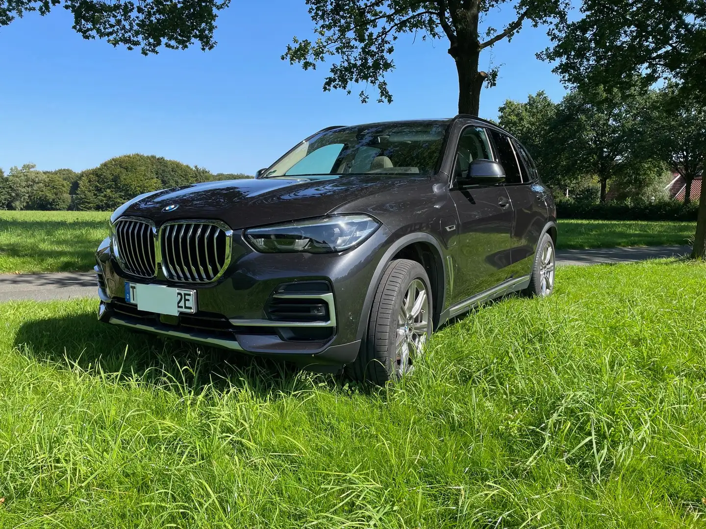 BMW X5 X5 xDrive45e xLine - 1