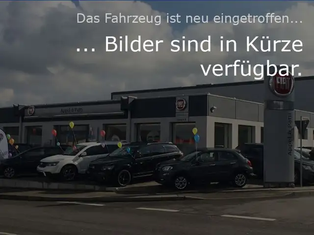 Fiat 500e 500 e Red Winterpaket, Stylepaket