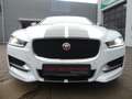 Jaguar XE 2.0 d R-Sport AWD PANO/XENON/KAM/MEMORY Weiß - thumbnail 14