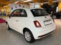 Fiat 500 Pop Star|Klimaanlage|Bluetooth|USB|AUX|GRA Alb - thumbnail 4