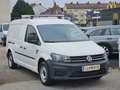 Volkswagen Caddy Caddy Maxi Kastenwagen 2,0 TDI 1-Hand Pickerl +... Weiß - thumbnail 6