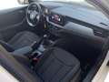 Skoda Kamiq 1.0 TSI Ambition White - thumbnail 15