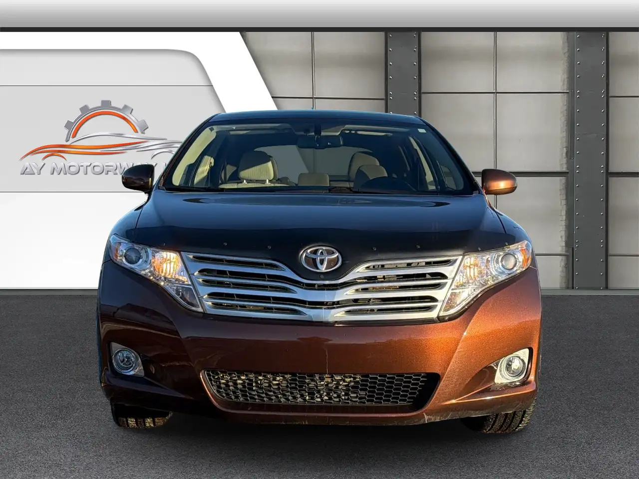 2009 Toyota Venza