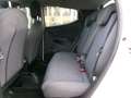 Lancia Ypsilon Ypsilon 1.0 FireFly 5 porte S&S Hybrid Gold Plus Weiß - thumbnail 12