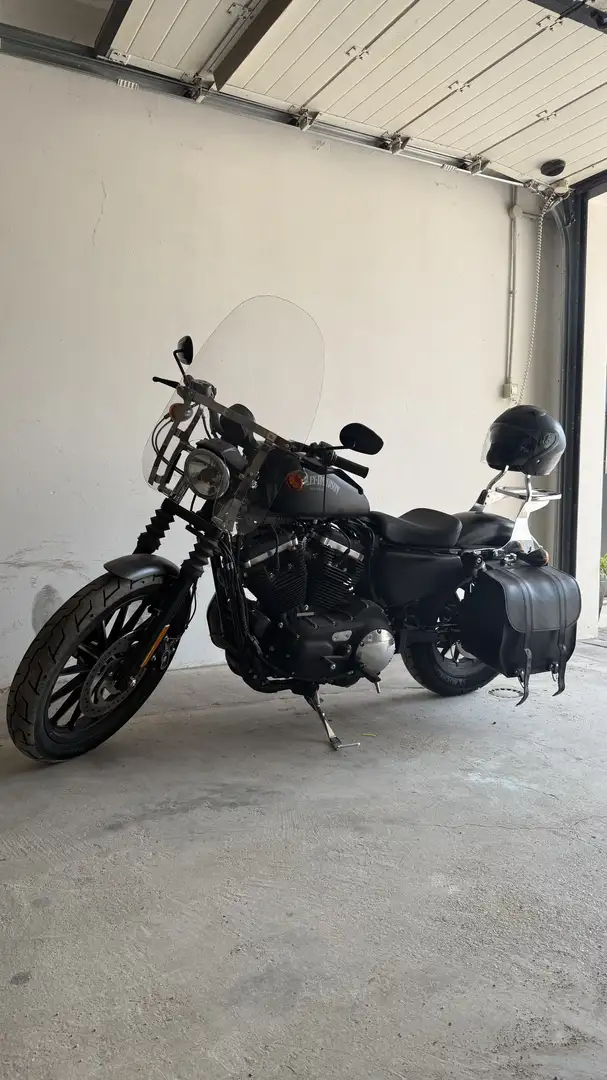 Harley-Davidson Iron 883 - 2