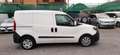 Fiat Doblo CARGO PC-TN 1.6 MJT 105 CV SX Bianco - thumbnail 6