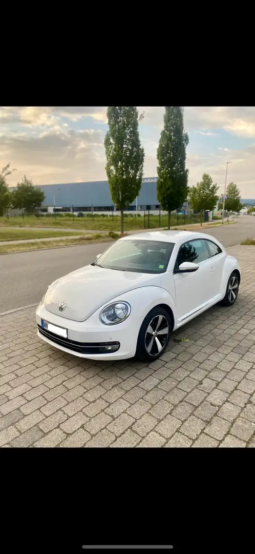 Volkswagen Beetle 1.2 tsi - 1