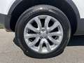 Land Rover Range Rover Evoque 2.0 TD4 180 SE BVA Mark IV Blanco - thumbnail 11