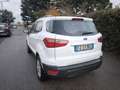 Ford EcoSport FORD ECOSPORT BENZINA- NOV 2019- OK NEOPATENTATI Blanc - thumbnail 18