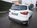 Ford EcoSport FORD ECOSPORT BENZINA- NOV 2019- OK NEOPATENTATI Blanc - thumbnail 16