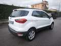 Ford EcoSport FORD ECOSPORT BENZINA- NOV 2019- OK NEOPATENTATI Blanc - thumbnail 14