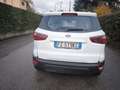 Ford EcoSport FORD ECOSPORT BENZINA- NOV 2019- OK NEOPATENTATI Blanc - thumbnail 17