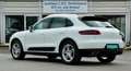 Porsche Macan S Diesel 3.0/PANO/ACC/AHK/LuftFed/OFF ROAD White - thumbnail 5
