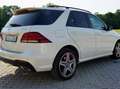 Mercedes-Benz GLE 350 GLE 350 d 4Matic Aut. Weiß - thumbnail 15