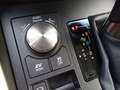 Lexus NX 300 Hybrid 4WD Executive Bílá - thumbnail 26