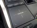 Lexus NX 300 Hybrid 4WD Executive Bílá - thumbnail 27