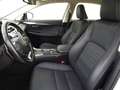 Lexus NX 300 Hybrid 4WD Executive Biały - thumbnail 12