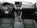 Lexus NX 300 Hybrid 4WD Executive White - thumbnail 15