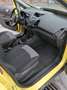 Ford EcoSport 1.5 110 CV Powershift Plus Giallo - thumbnail 13