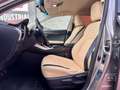Lexus NX 300 300h Executive 4WD + Navibox Gris - thumbnail 9