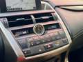 Lexus NX 300 300h Executive 4WD + Navibox Gris - thumbnail 18