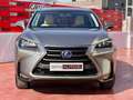 Lexus NX 300 300h Executive 4WD + Navibox Gris - thumbnail 8