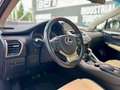 Lexus NX 300 300h Executive 4WD + Navibox Gris - thumbnail 10