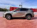 Lexus NX 300 300h Executive 4WD + Navibox Gris - thumbnail 2