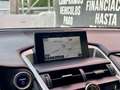 Lexus NX 300 300h Executive 4WD + Navibox Gris - thumbnail 17